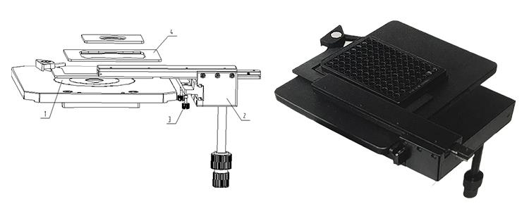 BDS400 inverted biological microscope made in China