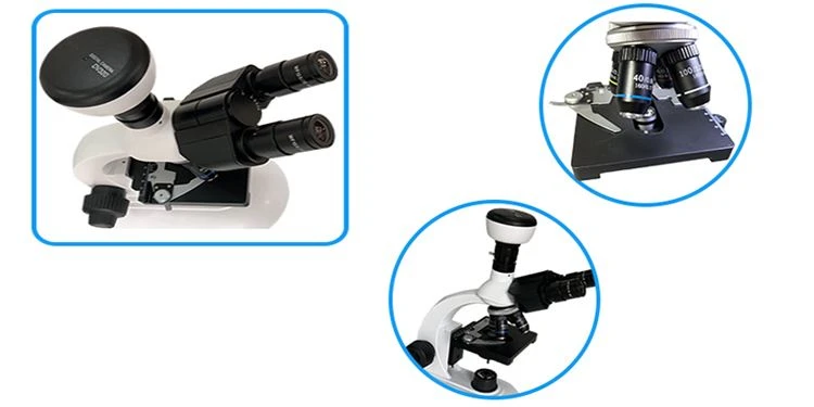 professional biological microscocpe with digital camera